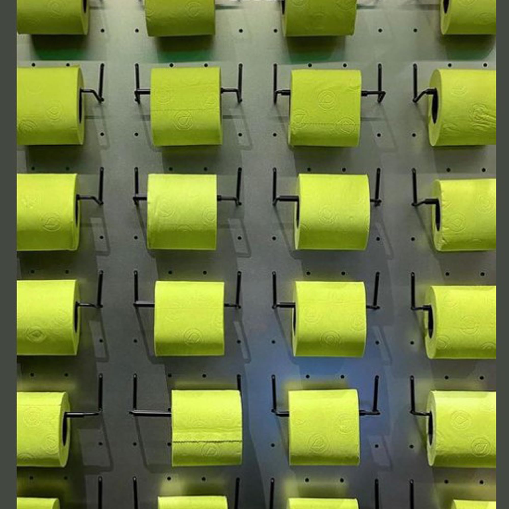 Renova Toilet Paper GREEN Toilettenpapier 6 Rollen, grün