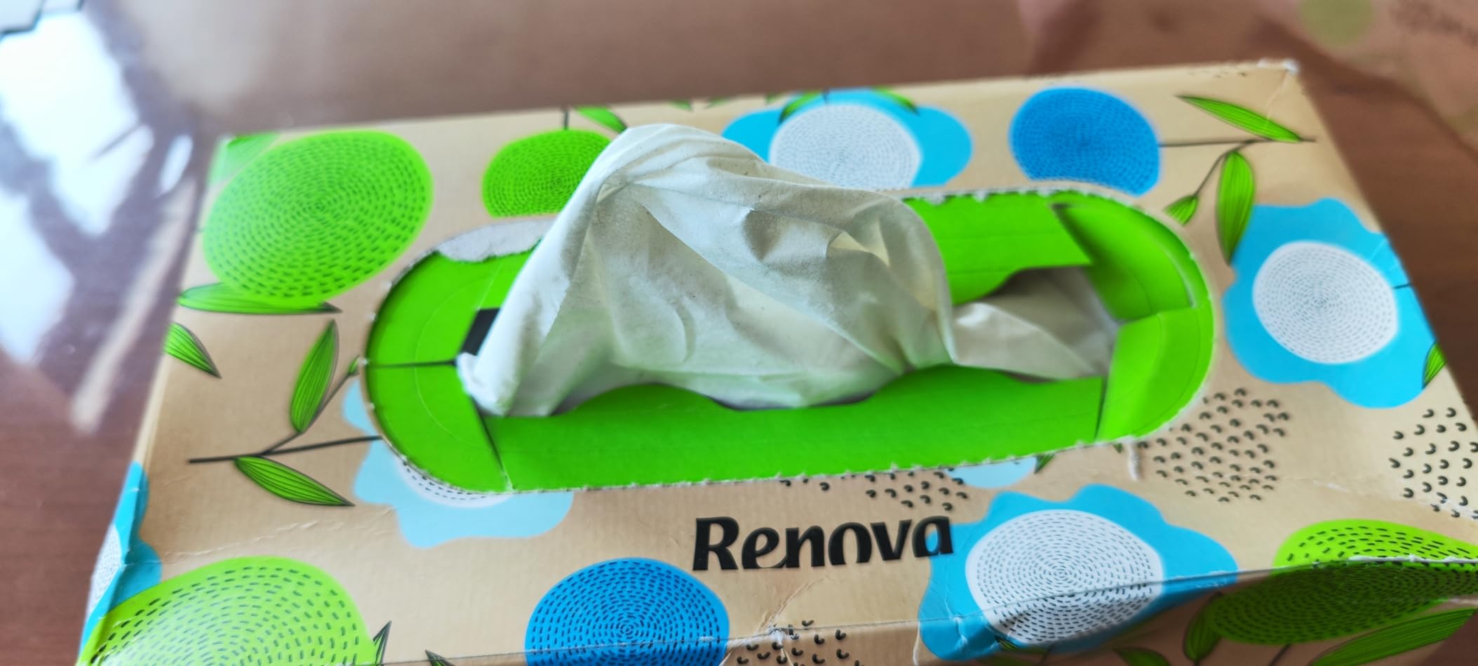 Renova Tissues 100% RECYCLED Facial Tissues Taschentücher 70 Stück unparfümiert