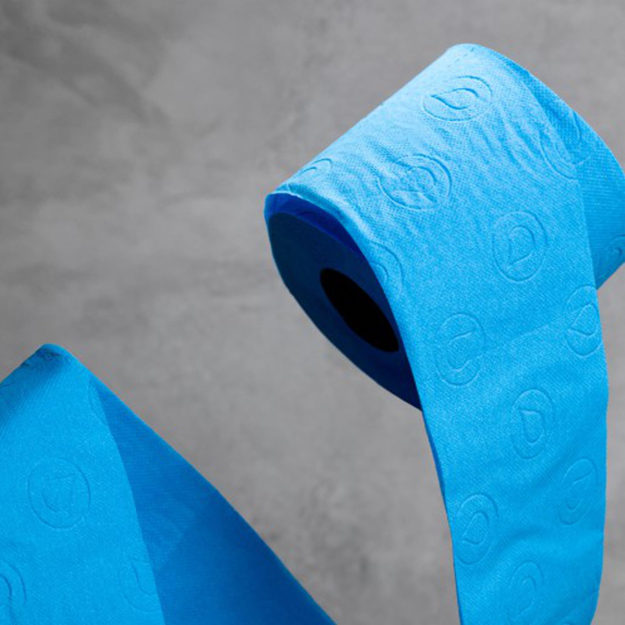 Renova Blue Toilettenpapier 6 Rollen, 3-lagig