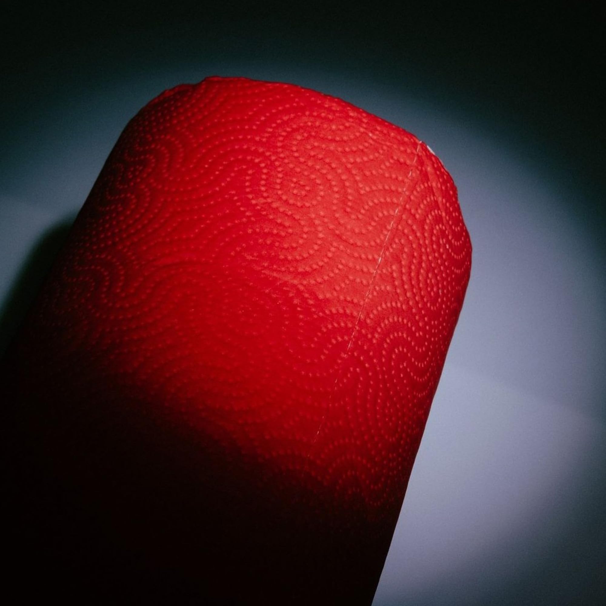 Renova Kitchen Roll RED Küchenrolle, Rot, 1 Rolle, 120 Blatt
