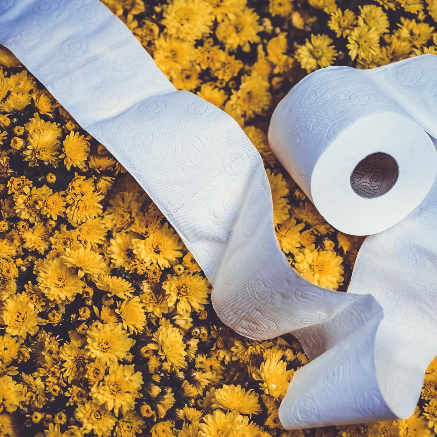 Renova ULTRA FORT Toilettenpapier Weiß, 4 Rollen, 4-lagig
