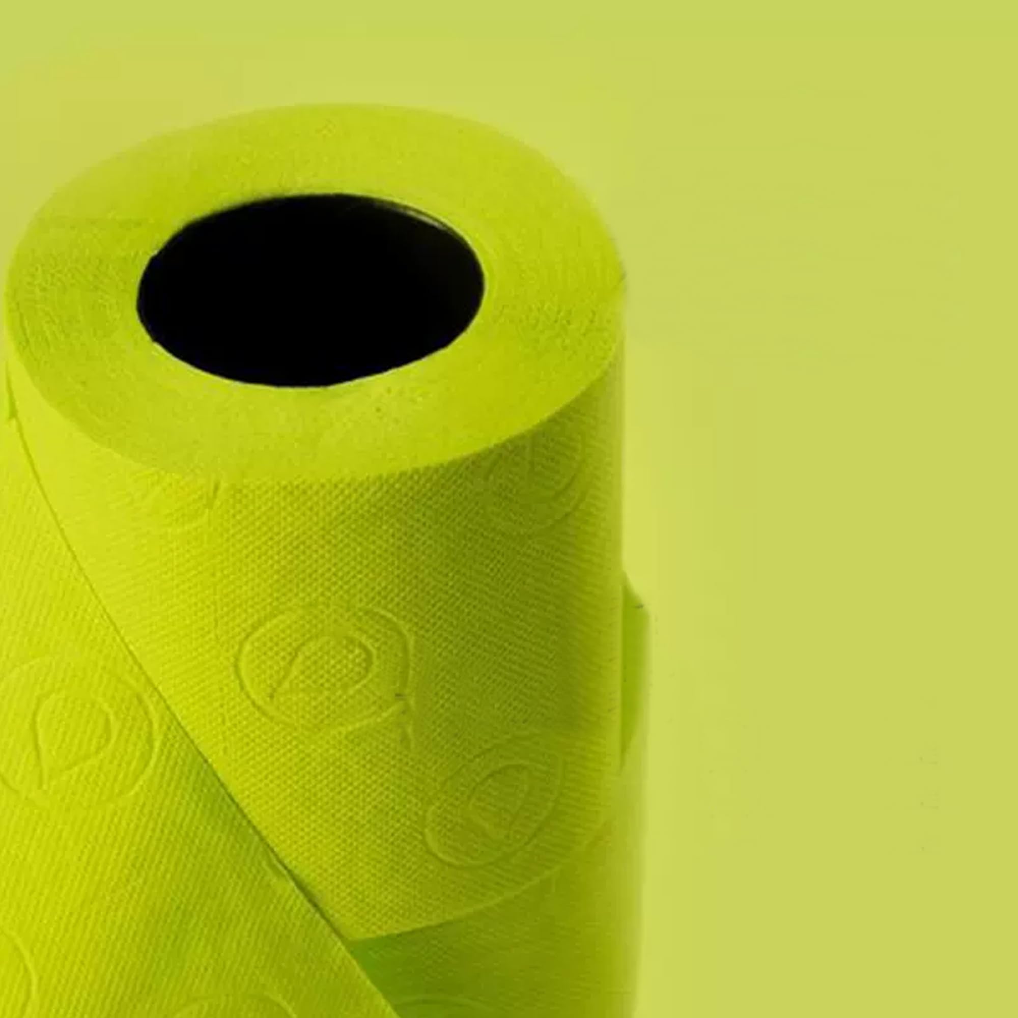 Renova Toilet Paper GREEN Toilettenpapier 6 Rollen, grün