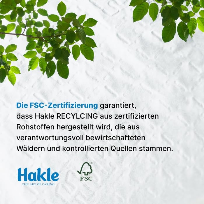 Hakle Recycling Toilettenpapier, 80 Rollen, 4-lagig aus Altpapier