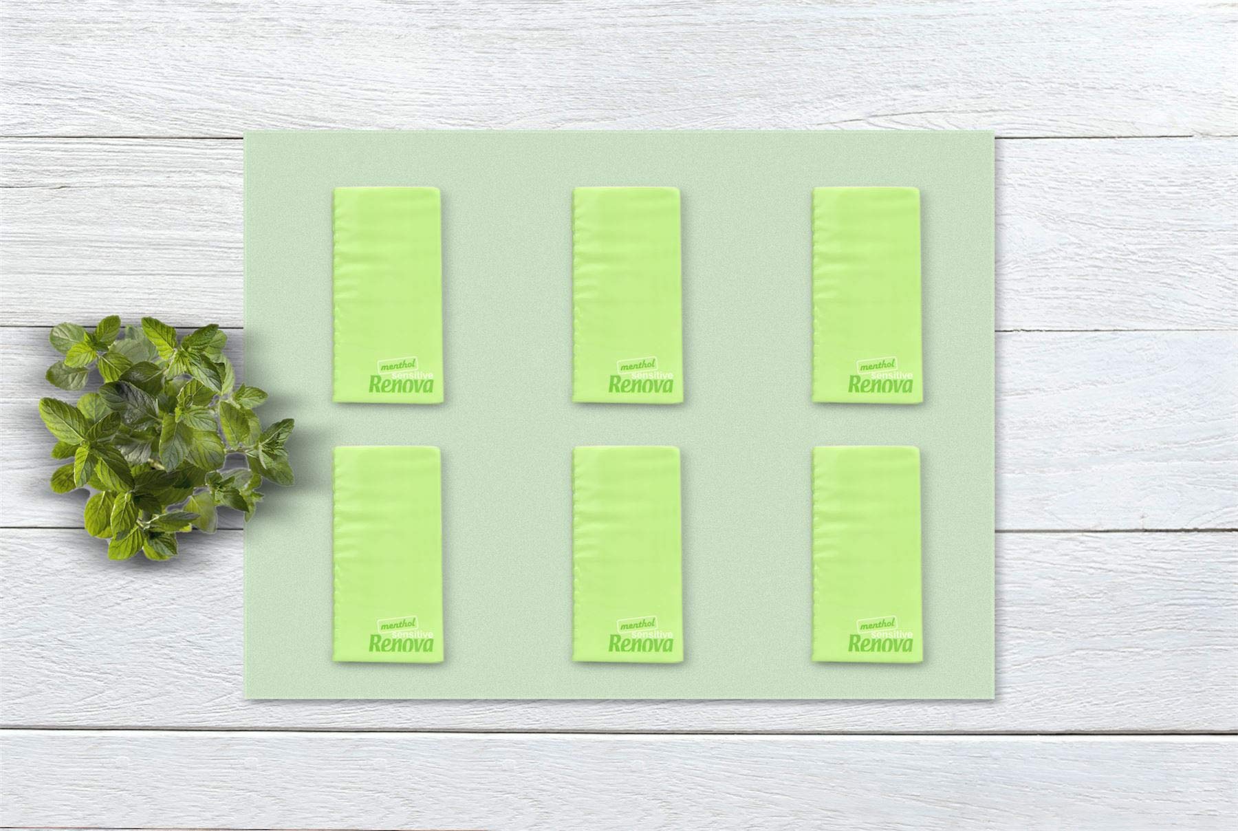 Renova SENSITIVE MENTHOL Taschentücher 6 Packungen weiß