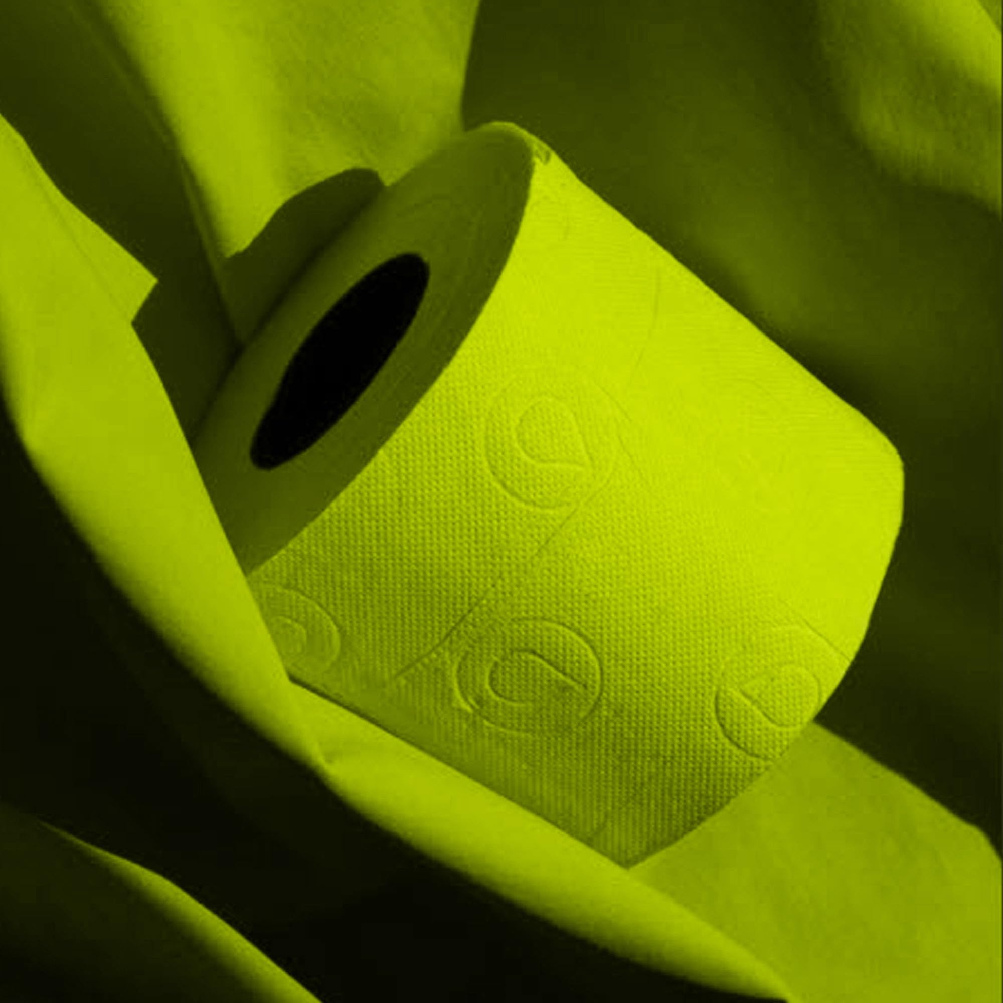 Renova Toilet Paper GREEN Toilettenpapier 6 Rollen, grün