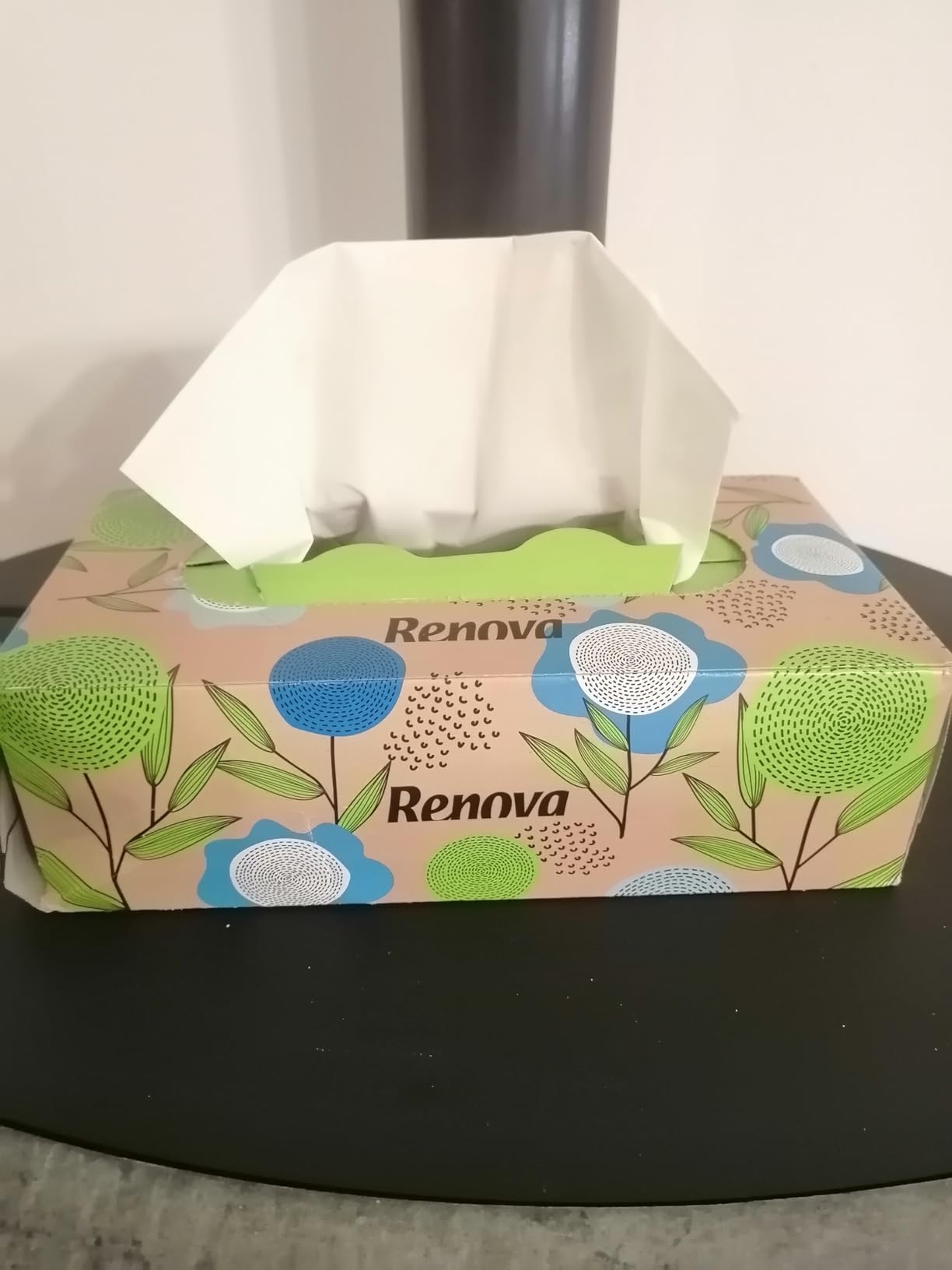 Renova Tissues 100% RECYCLED Facial Tissues Taschentücher 70 Stück unparfümiert