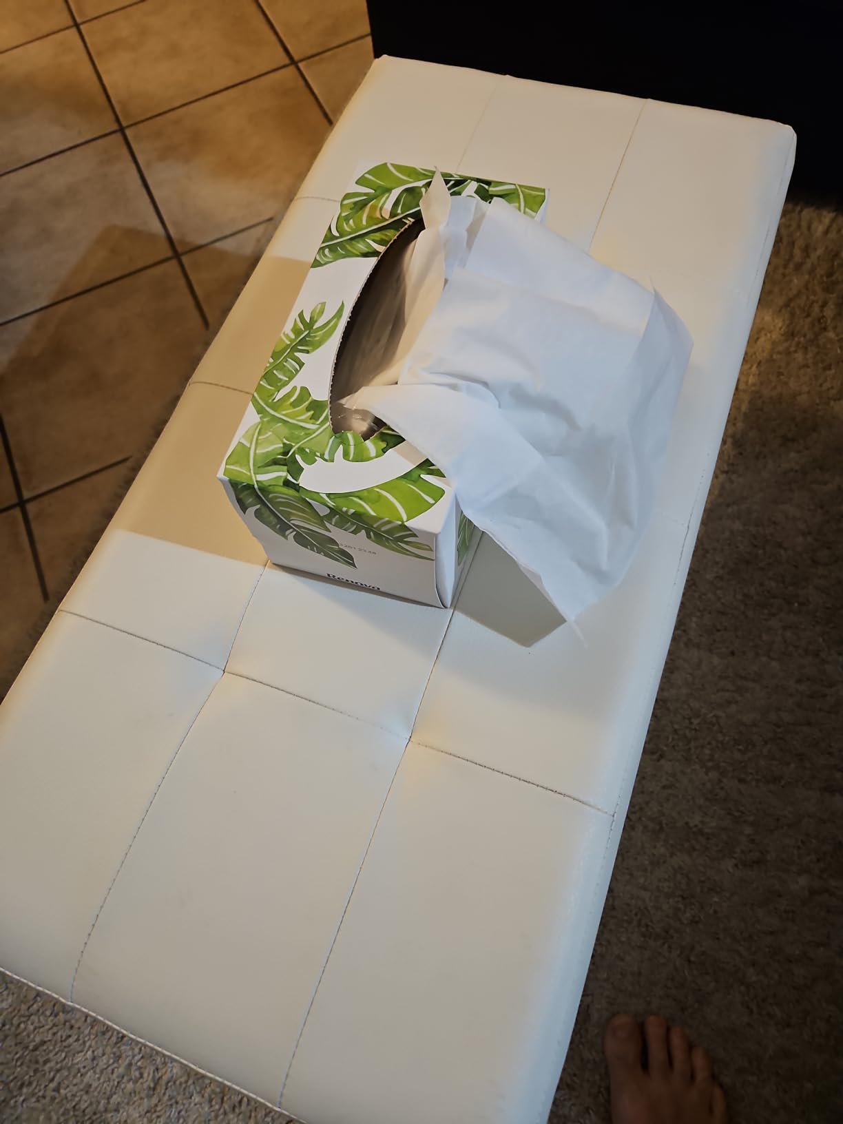 Renova Face Taschentücher 200 Blatt Box weiß unbeduftet