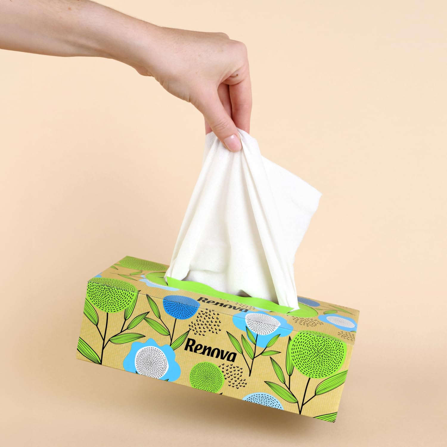 Renova Tissues 100% RECYCLED Facial Tissues Taschentücher 70 Stück unparfümiert